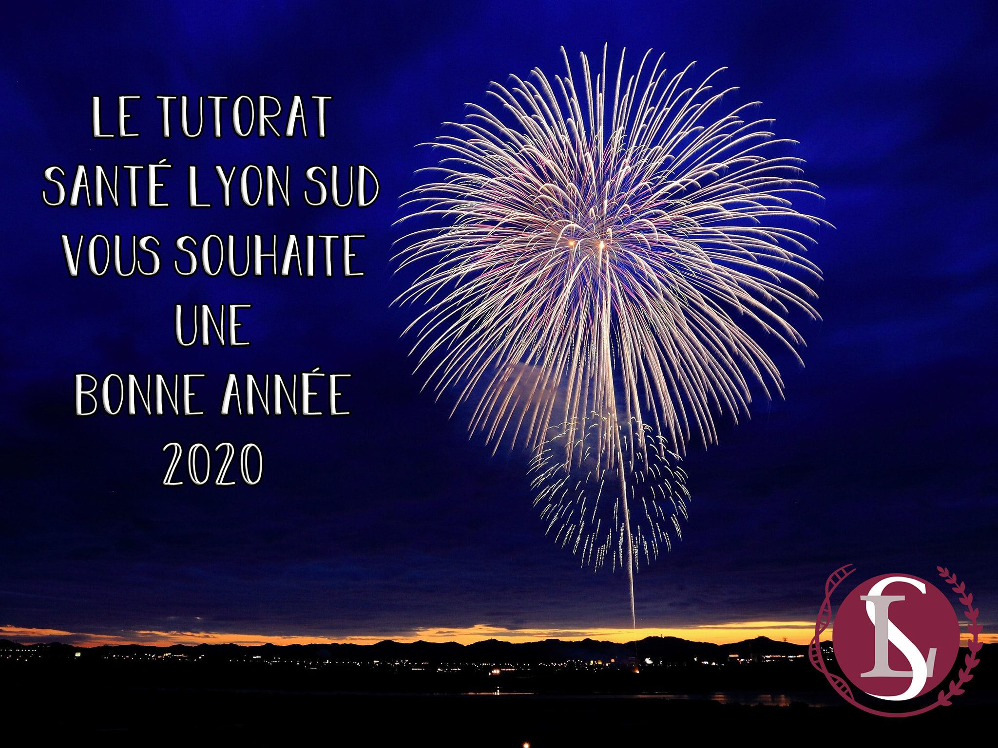 tut bonne année